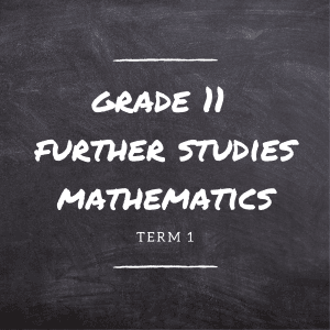 Gr.11 FS Maths Term 1