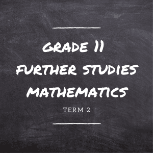 Gr.11 FS Maths Term 2