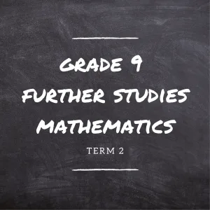 Gr.9 Further Studies Mathematics Term 2 Online