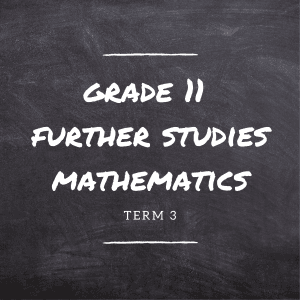 Gr.11 FS Maths Term 3