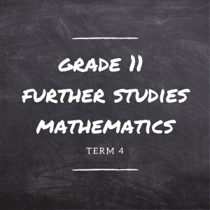 Gr.11 FS Maths Term 4