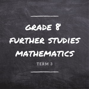 Gr.8 Further Studies Mathematics Term 3 Online