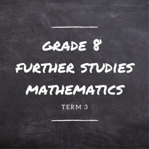 Gr.8 Further Studies Mathematics Term 3 Online