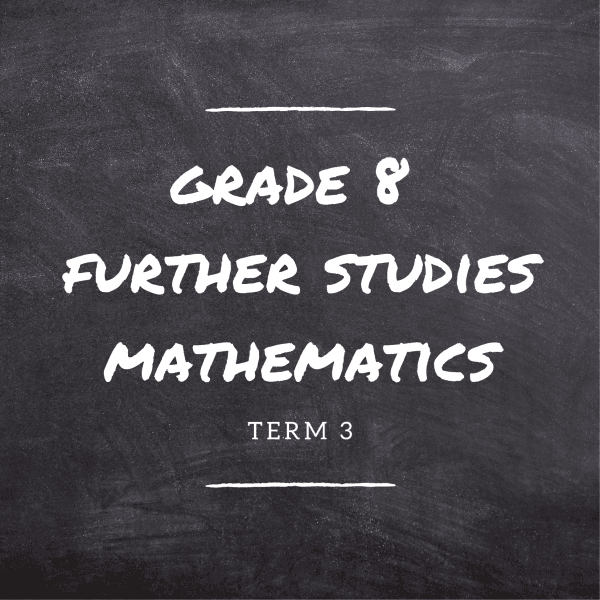 Gr.8 FS Maths Term 3
